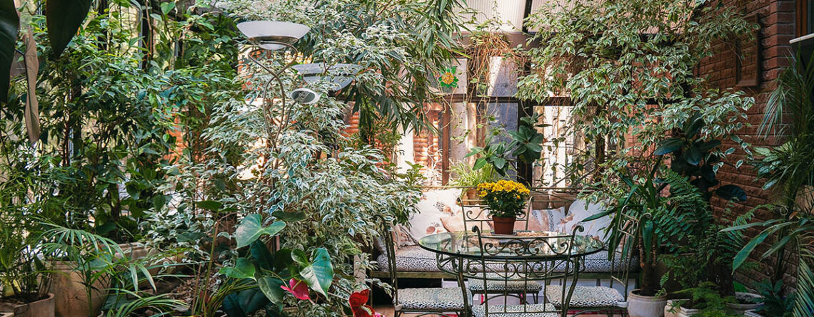 budowa ogrodu zimowego